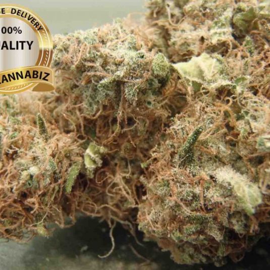 AK 47
