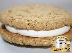 Big S Oatmeal Cookie