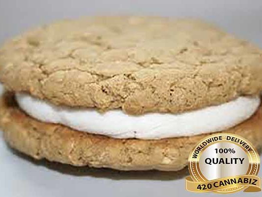Big S Oatmeal Cookie