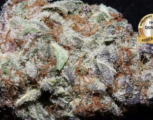 blackberry kush