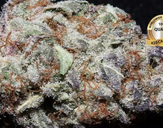 Blackberry Kush
