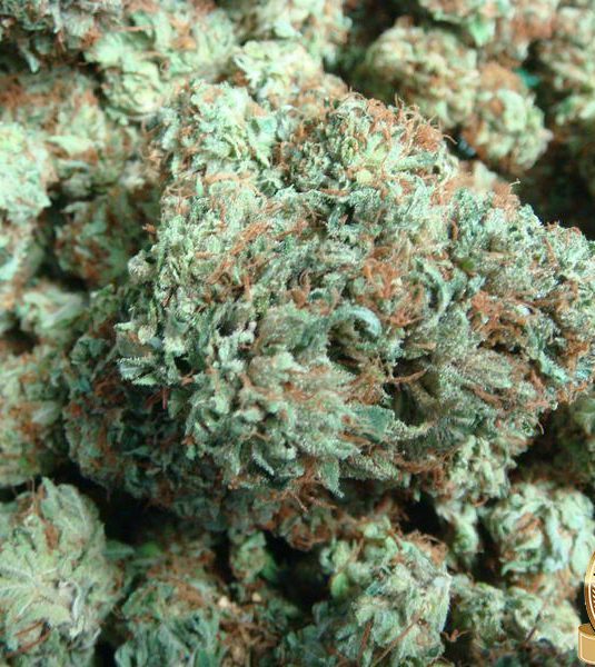 Bubba Kush