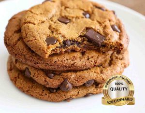 Cannabis Chocolate Chip Cookie Bite is high quality marijuana edible