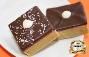 Day Trippers are incredible creamy with a chocolate-cover, peanut butter and graham cracker crumb squares