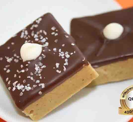 Day Trippers are incredible creamy with a chocolate-cover, peanut butter and graham cracker crumb squares