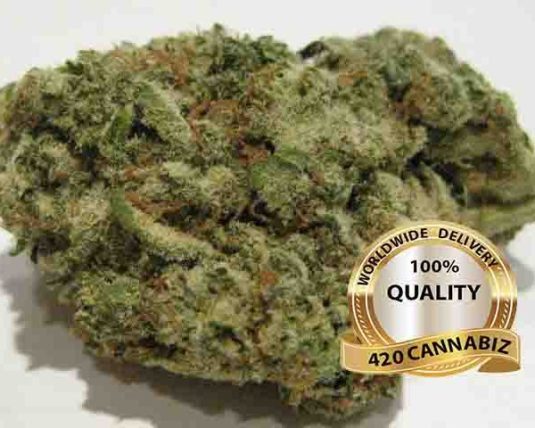 G13