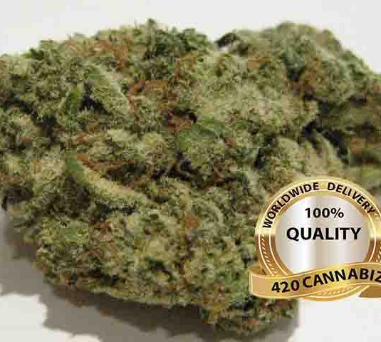 G13 is a magical indica strain that has a pungent smell profile of sweet