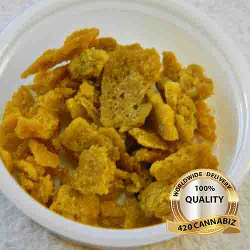 Girl Scout Cookie Cherry x Pie Amber Shatter