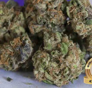 Girl Scout Cookies
