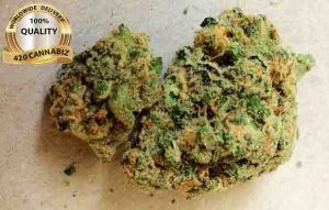 Green Crack green crack weed, medical cannabis green crack bunnies ounce, green crack bud, the green crack strain