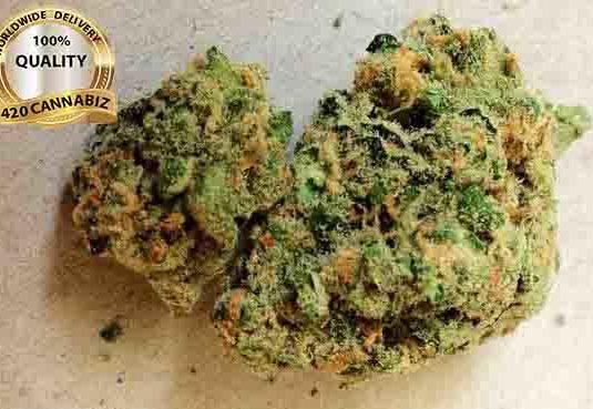 Green Crack green crack weed, medical cannabis green crack bunnies ounce, green crack bud, the green crack strain