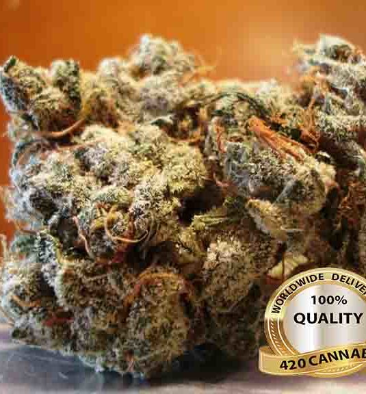 Jack Herer | Medical Marijuana Online | Weed For Sale | 420 Weed Online Sales Limited