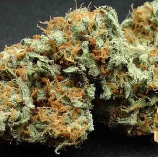 Juicy Fruit