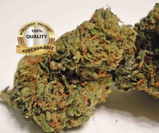 Master Kush