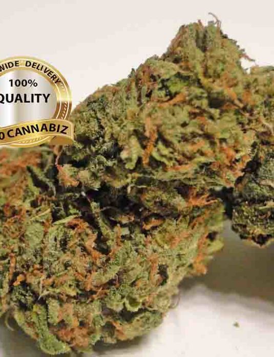 Master Kush