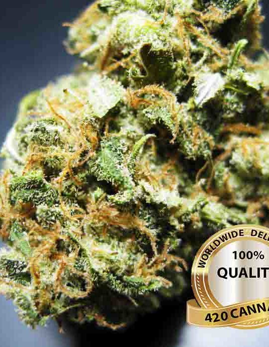 Maui Wowie