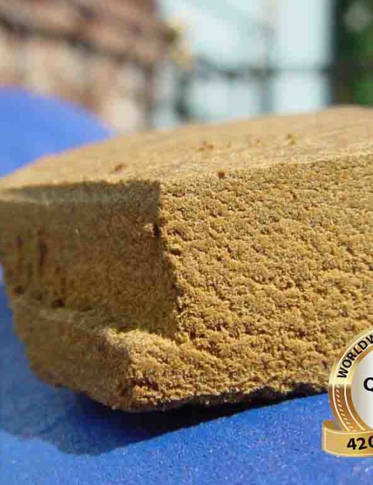 Moroccan Primero Hash