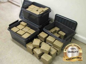 Netherlands Hash