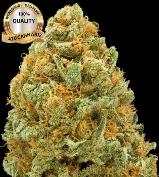 Og Kush