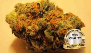 Orange Kush