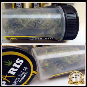 Paris Premium Flower: King Louis XIII OG