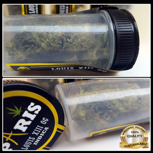 Paris Premium Flower: King Louis XIII OG