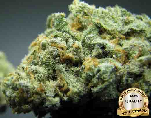Pineapple Express