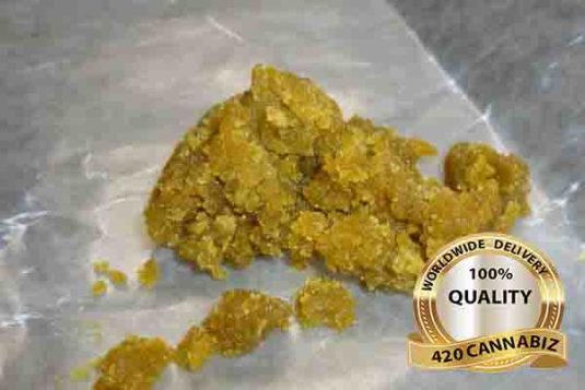 Purple Shock Tart Amber Shatter