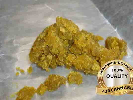 Purple Shock Tart Amber Shatter