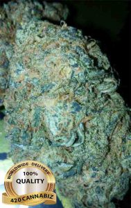 Blue Dream