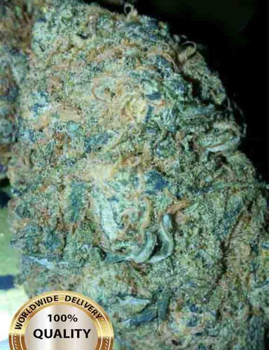 Blue Dream