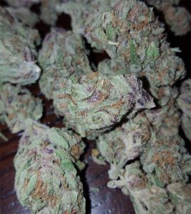 fruity-pebbles__primary_99d6