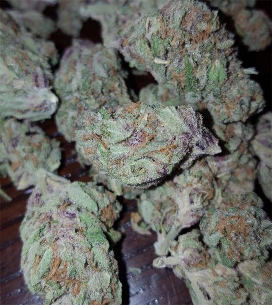 FRUITY PEBBLES