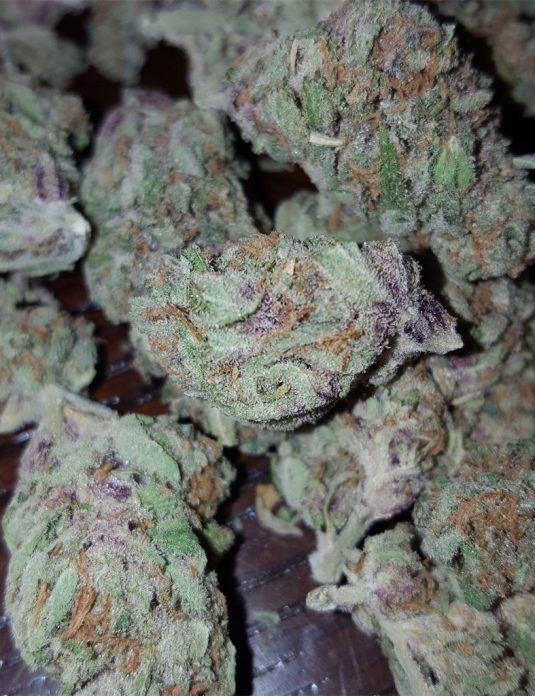 fruity-pebbles__primary_99d6