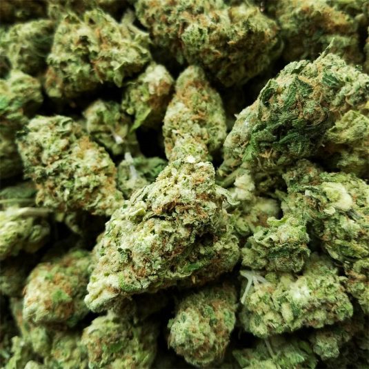 Girl Scout Cookies